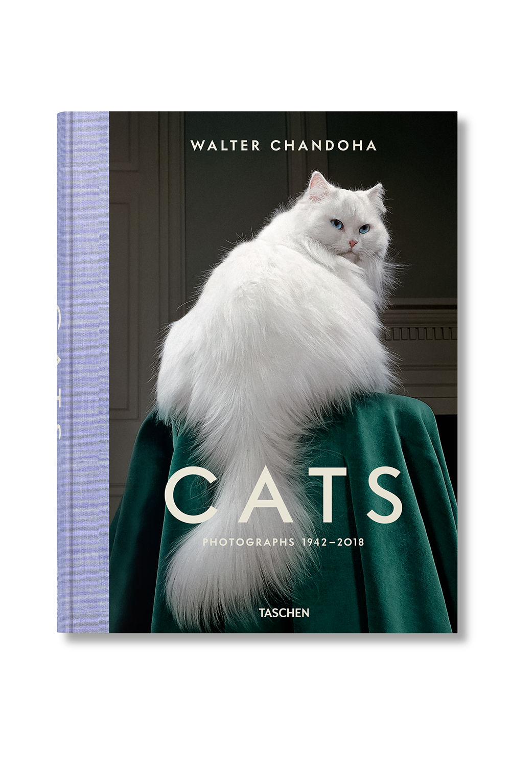 Cats Photographs Walter Chandoha