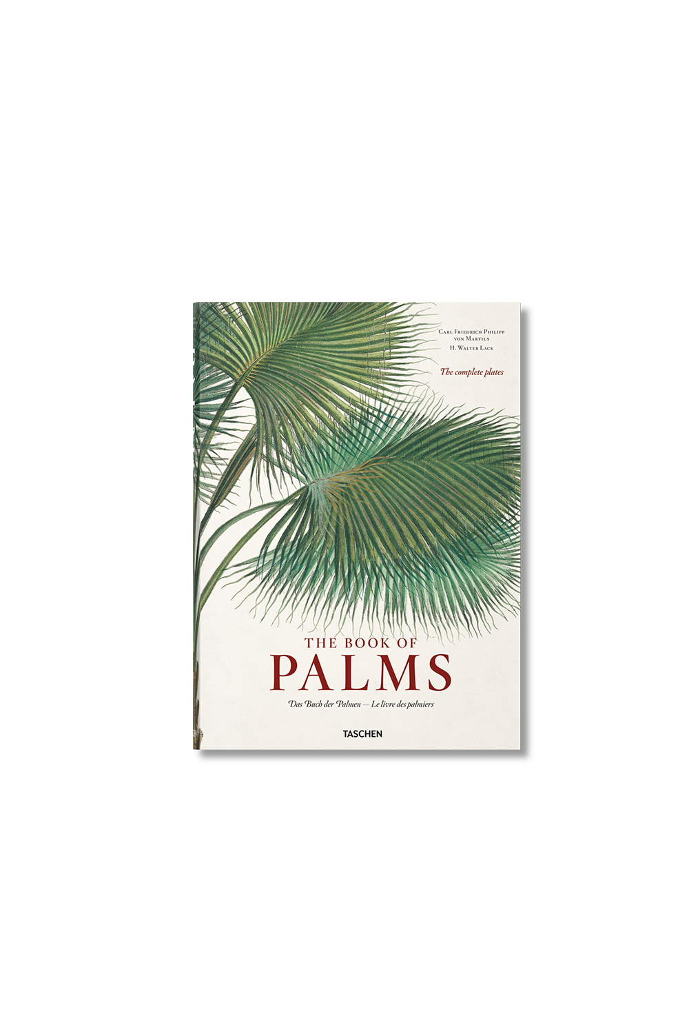The Book Of Palms