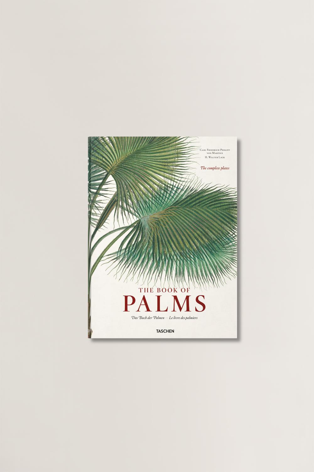 The Book Of Palms