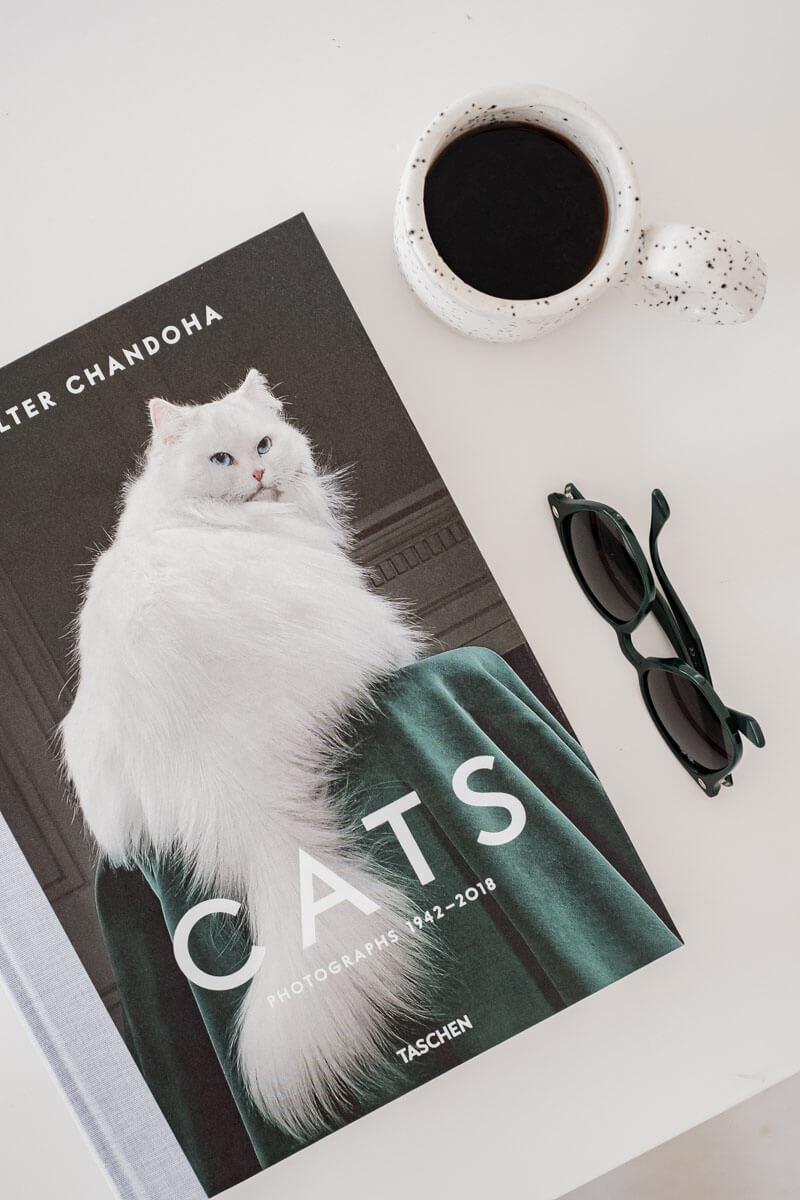 Cats Photographs Walter Chandoha