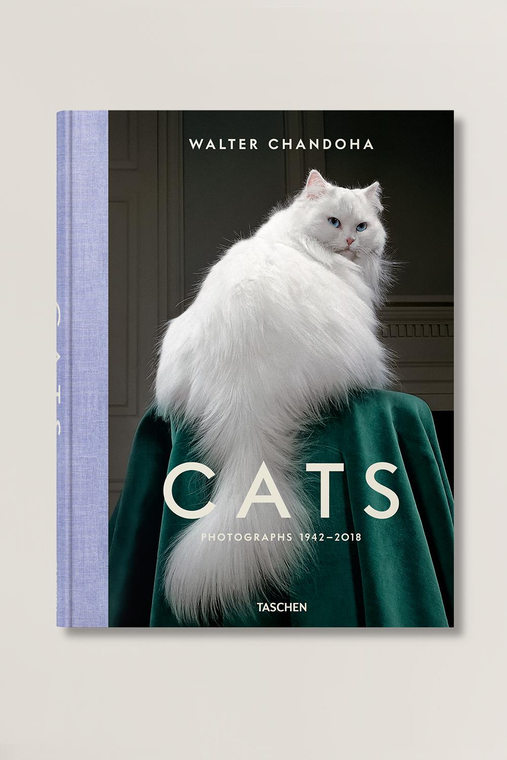 Cats Photographs Walter Chandoha