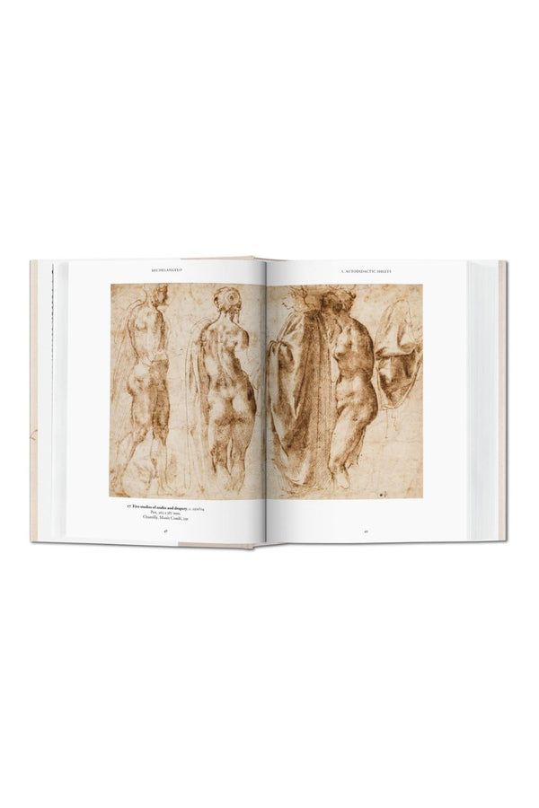 Michelangelo: The Graphic Work