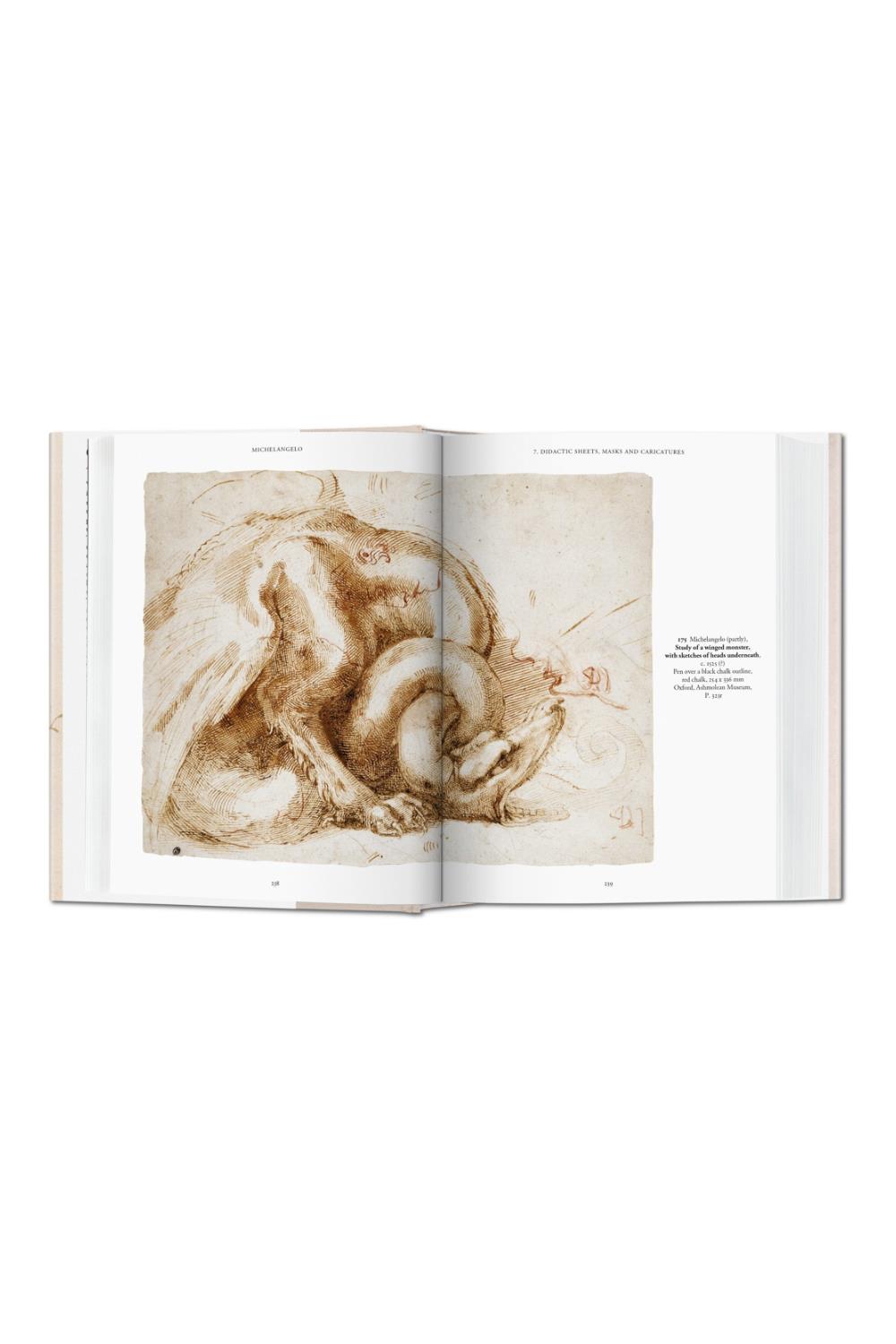 Michelangelo: The Graphic Work