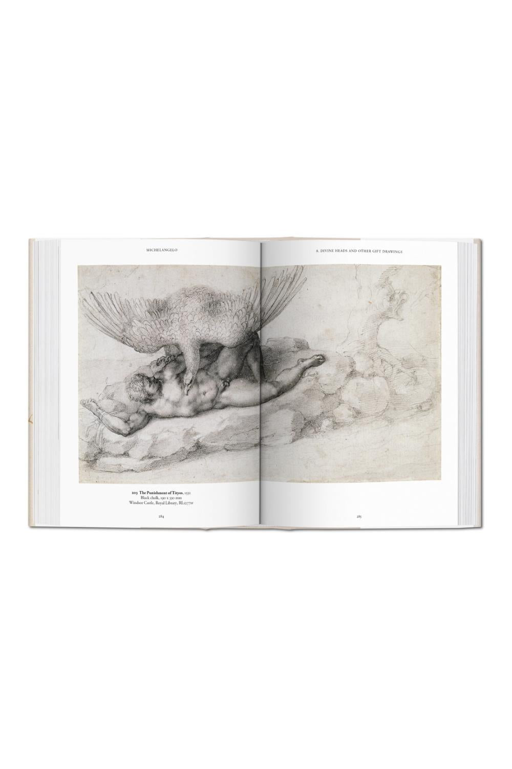 Michelangelo: The Graphic Work