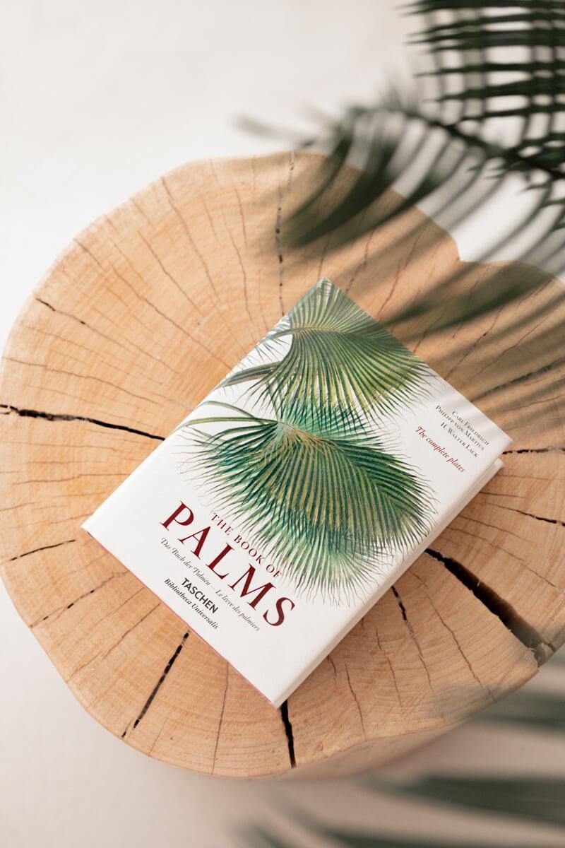 The Book Of Palms