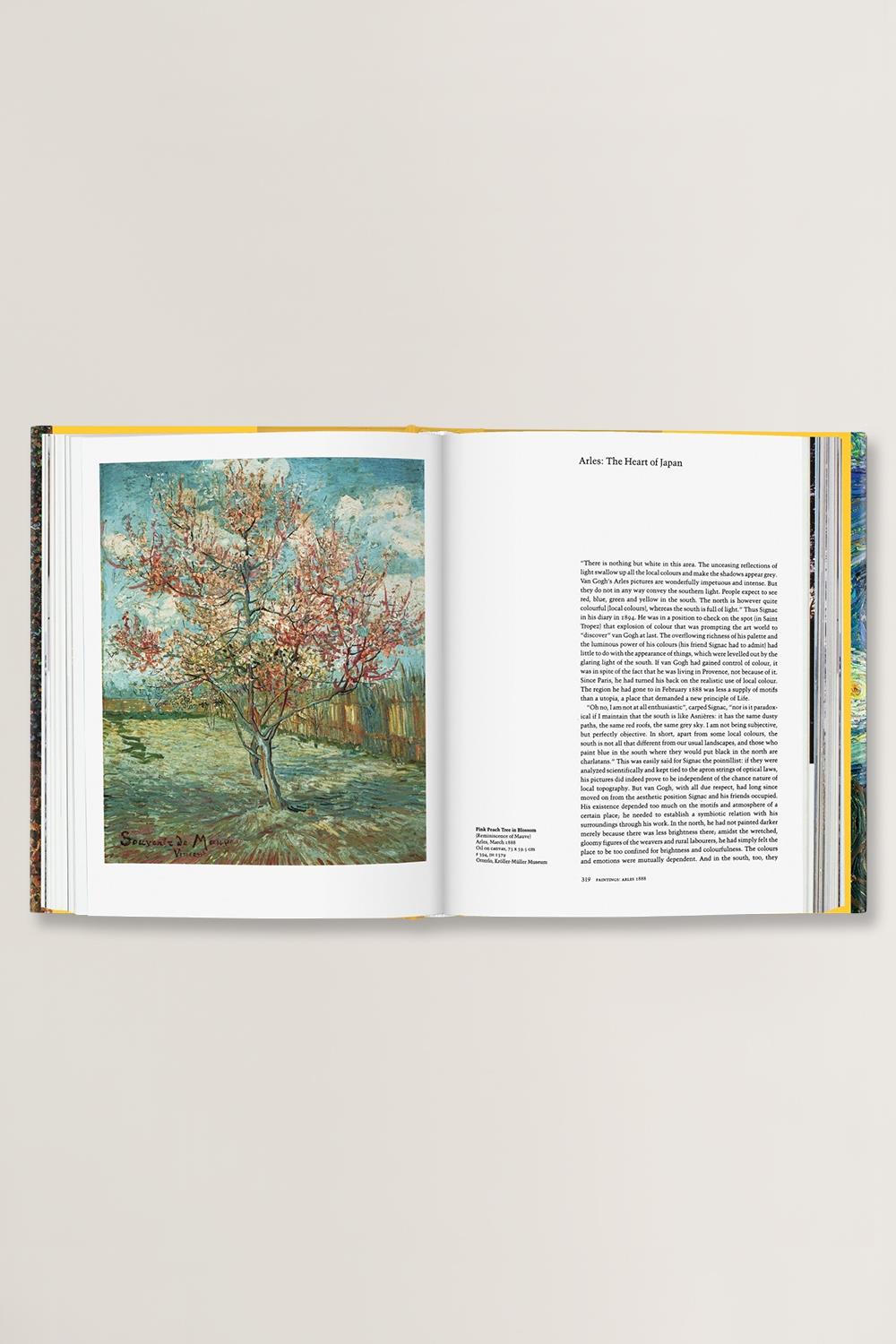 Van Gogh The Complete Paintings